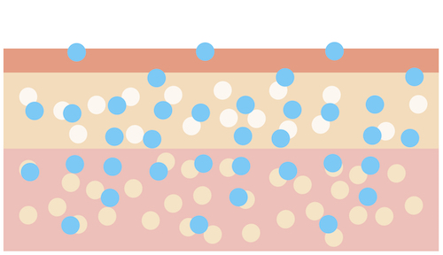 Oligo Hyaluronsäure Hyaluron Konzentrat